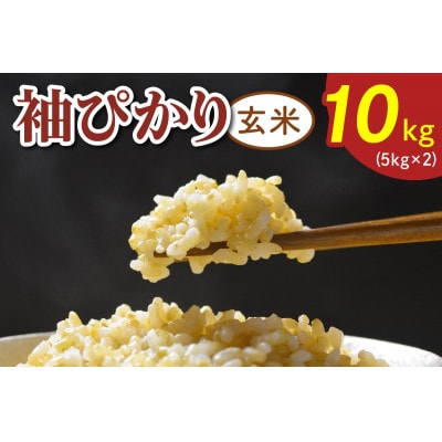 令和7年産 袖ぴかり(コシヒカリ)玄米 10kg(5kg×2)