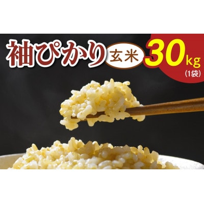 令和7年産 袖ぴかり(コシヒカリ)玄米 30kg