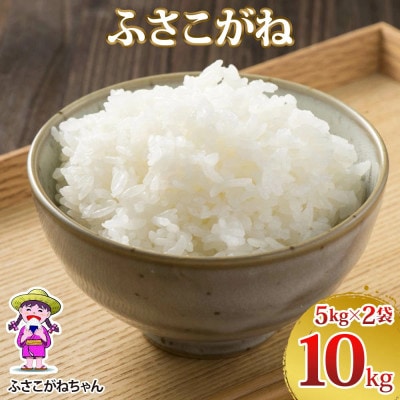 令和7年産 ふさこがね 精米 10kg(5kg×2)