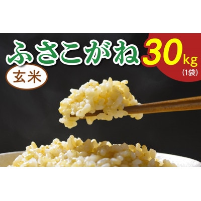 令和7年産 ふさこがね 玄米 30kg