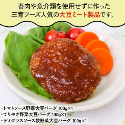 三育フーズの大豆ミート 8種詰合せセット