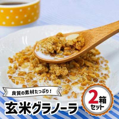 三育フーズの玄米グラノーラ 2箱セット