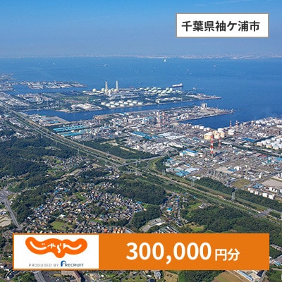 【じゃらんふるさと納税クーポン】 千葉県袖ケ浦市でつかえる300,000円 クーポン