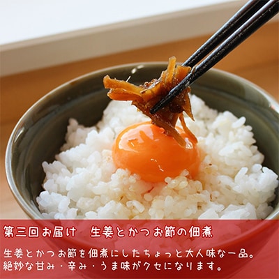 【毎月定期便】大正14年創業の昆布・佃煮専門店がお届け ご飯泥棒つくだ煮セット定期便 全3回