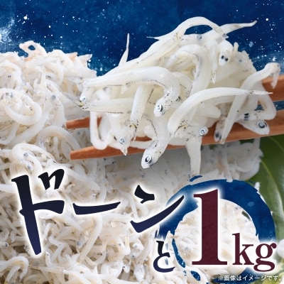 【冷凍250g×4パック】義丸のだんじりしらす(釜揚げしらす)1kg