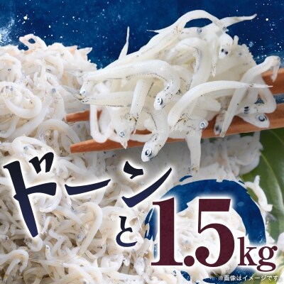 【冷凍250g×6パック】義丸のだんじりしらす(釜揚げしらす)1.5kg