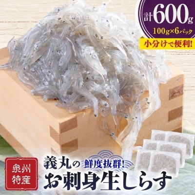 【100g×6パック】義丸のお刺身生しらす　600g　泉州特産『義丸のだんじりしらす』