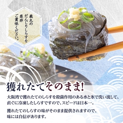 【100g×6パック】義丸のお刺身生しらす　600g　泉州特産『義丸のだんじりしらす』