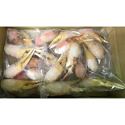 本ずわい蟹 蟹爪セット 800g