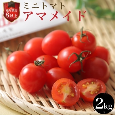 通年糖度8以上のミニトマト「アマメイド」2kg