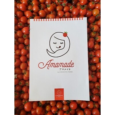通年糖度8以上のミニトマト「アマメイド」2kg