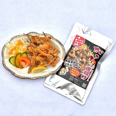 泉州名物 がっちょの唐揚げ(スタンダード味)60g×10個入