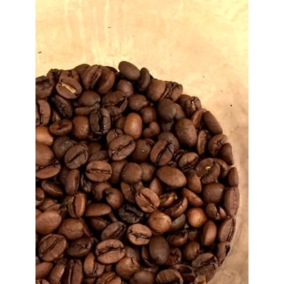 (CreerCafe)単一産地(シングルオリジン)　スペシャリティコーヒー　6種・24袋