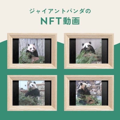 竹林オーナー権NFT