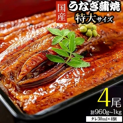【2023年8月中旬発送】「国産うなぎ蒲焼(特大サイズ)」4尾(960g～1kg)