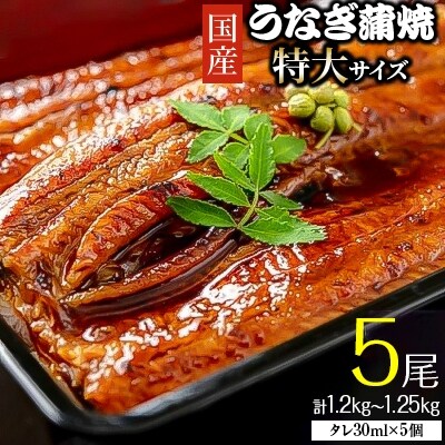 【2023年4月上旬発送】「国産うなぎ蒲焼(特大サイズ)」5尾(1.2kg～1.25kg)