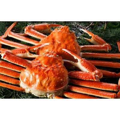 ボイルずわいがに(カニ姿) 2尾(1.5kg~1.7kg)【2】