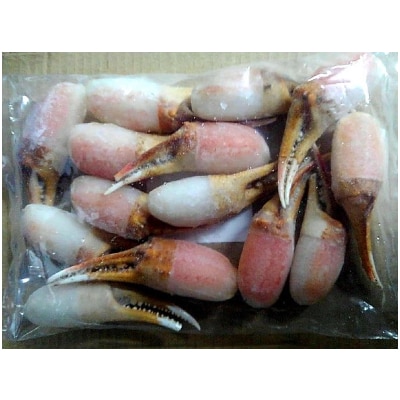 【2023年10月上旬発送】生ずわいがに カニしゃぶ用 爪肉 500g【8】