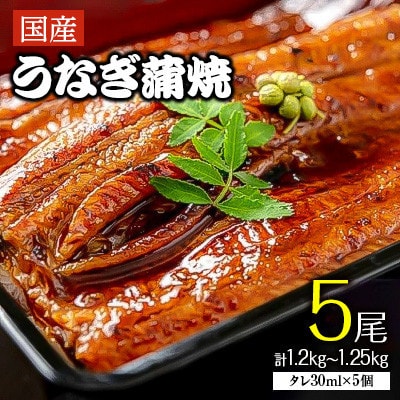 【2025年7月12日より順次発送】土用の丑の日「国産うなぎ蒲焼」5尾(1.2kg～1.25kg)