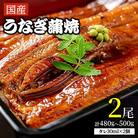 【2025年12月20日より順次発送】「国産うなぎ蒲焼」2尾(480g～500g)