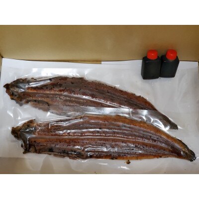 【2026年1月10日より順次発送】「国産うなぎ蒲焼」2尾(480g～500g)