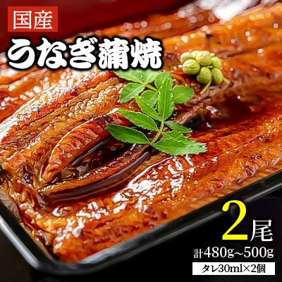 【2026年1月17日より順次発送】「国産うなぎ蒲焼」2尾(480g～500g)