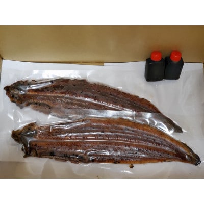 【2026年1月17日より順次発送】「国産うなぎ蒲焼」2尾(480g～500g)