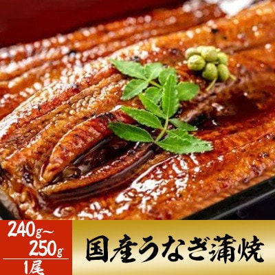 【2026年1月17日より順次発送】「国産うなぎ蒲焼」1尾(240g～250g)