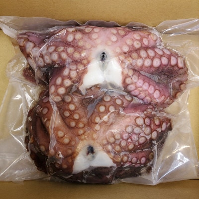 【2026年1月17日より順次発送】大阪泉州産「泉タコ(生だこ)」1.3kg(1杯～3杯×2袋)