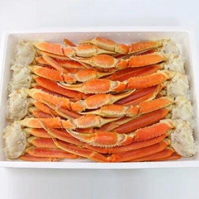 【2026年4月4日より順次発送】ボイルずわいがに 4Lサイズ 3kg(7～9肩)