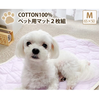 【M 65×50cm】2枚組コットン100%ペット用マット　PET-6550-2P