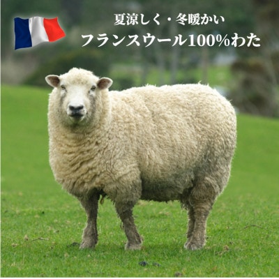 【シングル】フランスウール100%羊毛わたベッドパッド(100×200cm) WB-10