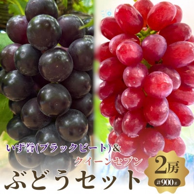おすすめ感謝セット　クイーンセブン+泉湧誉 2房セット