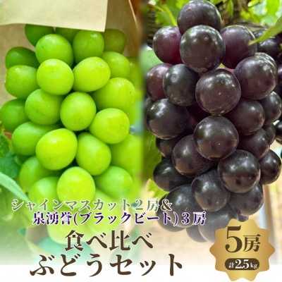 食べ比べ人気ぶどう　シャインマスカット2房+いず誉3房　5房セット