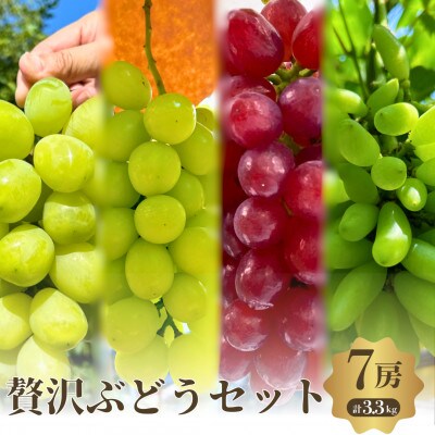 贅沢極旨ぶどうのセット　4種7房詰め合わせ