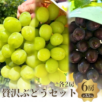 贅沢シャイン品種のぶどうセット　3種6房詰め合わせ