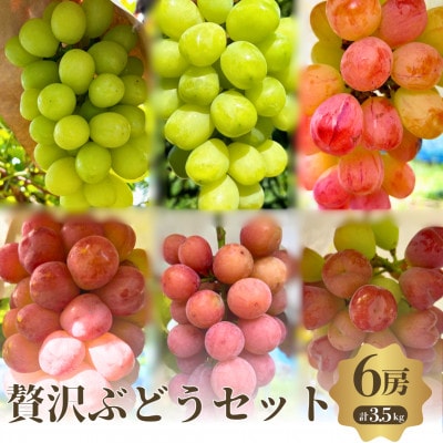 贅沢ぶどうセット4種6房詰め合わせ