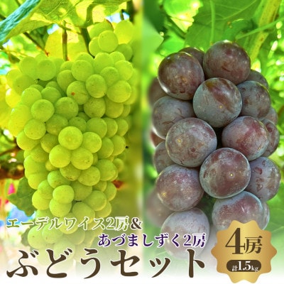 夏一番　あづましずく2房+エーデルワイス2房　4房セット
