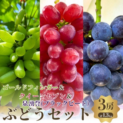 夏一番3色3房セット　ゴールドフィンガーとクイーンセブンと泉湧誉の3房セット
