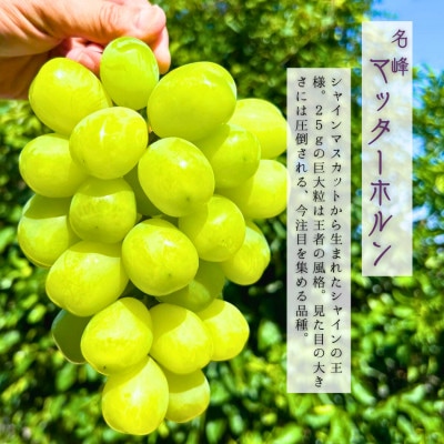 極上「名峰」マッターホルン大粒大房ぶどうと 竹籠入り!極上「名泉」泉州水なすぬか漬け2個計1.5kg