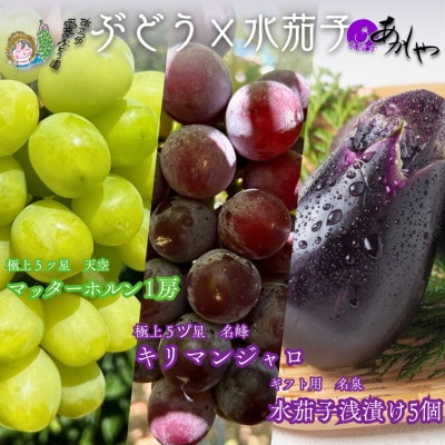 「名峰」マッターホルンとキリマンジャロの大粒2種ぶどうと「名泉」泉州水なすぬか漬け5個 計4kg