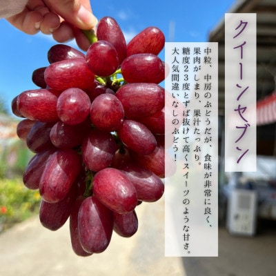 贈り物に 甘々ぶどう2種 泉湧誉とクイーンセブン、極上泉州水なすぬか漬け5個 計3.3kg