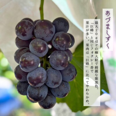 贈り物に 夏一番ぶどう2種あづましずくとエーデルワイスと極上泉州水なすぬか漬け5個 計3.5kg