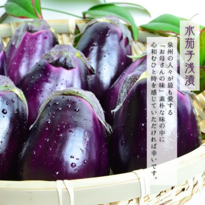 贈り物に 夏一番ぶどう2種あづましずくとエーデルワイスと極上泉州水なすぬか漬け5個 計3.5kg