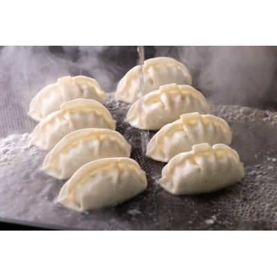 【瞬間冷凍:生餃子】王道を超える!肉汁溢れる黒豚餃子 100ケ 合計2kg