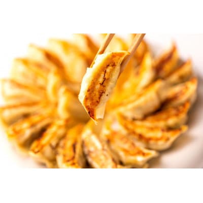 【瞬間冷凍:生餃子】王道を超える!肉汁溢れる黒豚餃子 100ケ 合計2kg