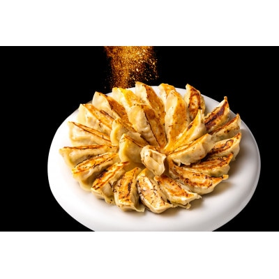 【瞬間冷凍:生餃子】お酒と合う?ピリ辛のスパイス餃子 100ヶ 合計2kg