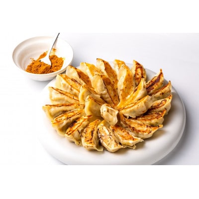 【瞬間冷凍:生餃子】お酒と合う?ピリ辛のスパイス餃子 100ヶ 合計2kg