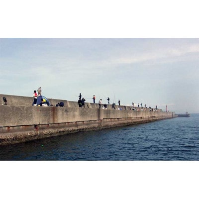 岸和田一文字　渡船券　男性　1枚