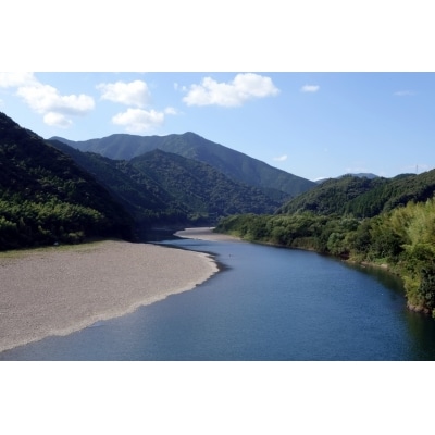 指定ホテル宿泊補助券(四万十市・黒潮町)5枚【C03030】